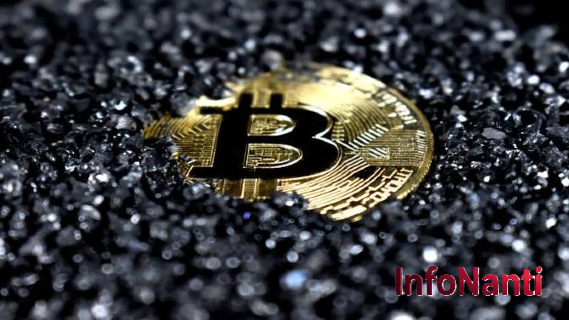 Dominasi BlackRock di Pasar Kripto: IBIT Tembus Rekor 806.700 Bitcoin, Persaingan Sengit dengan MicroStrategy Memanas