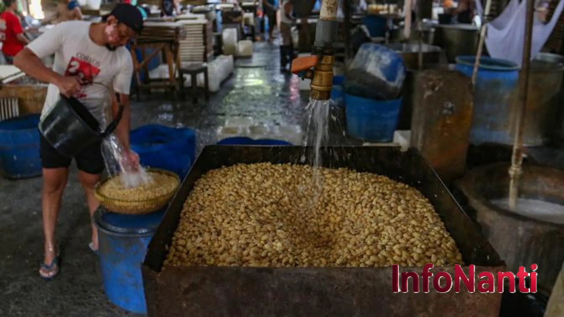 Bukan Karena Kedelai Meroket, InfoNanti Ungkap Alasan Sebenarnya di Balik Kenaikan Harga Tempe