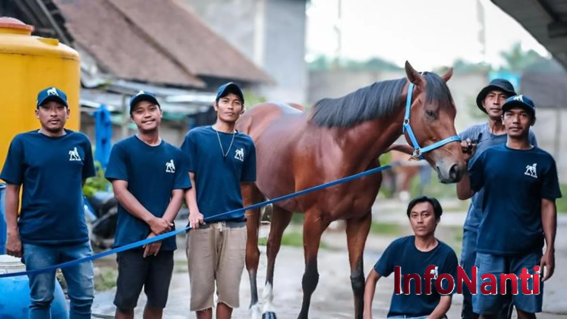 Dominasi Skuad Biru: Mengenal Blue Blood Stable, Produsen Kuda Pacu Jawara dari Tegalwaton