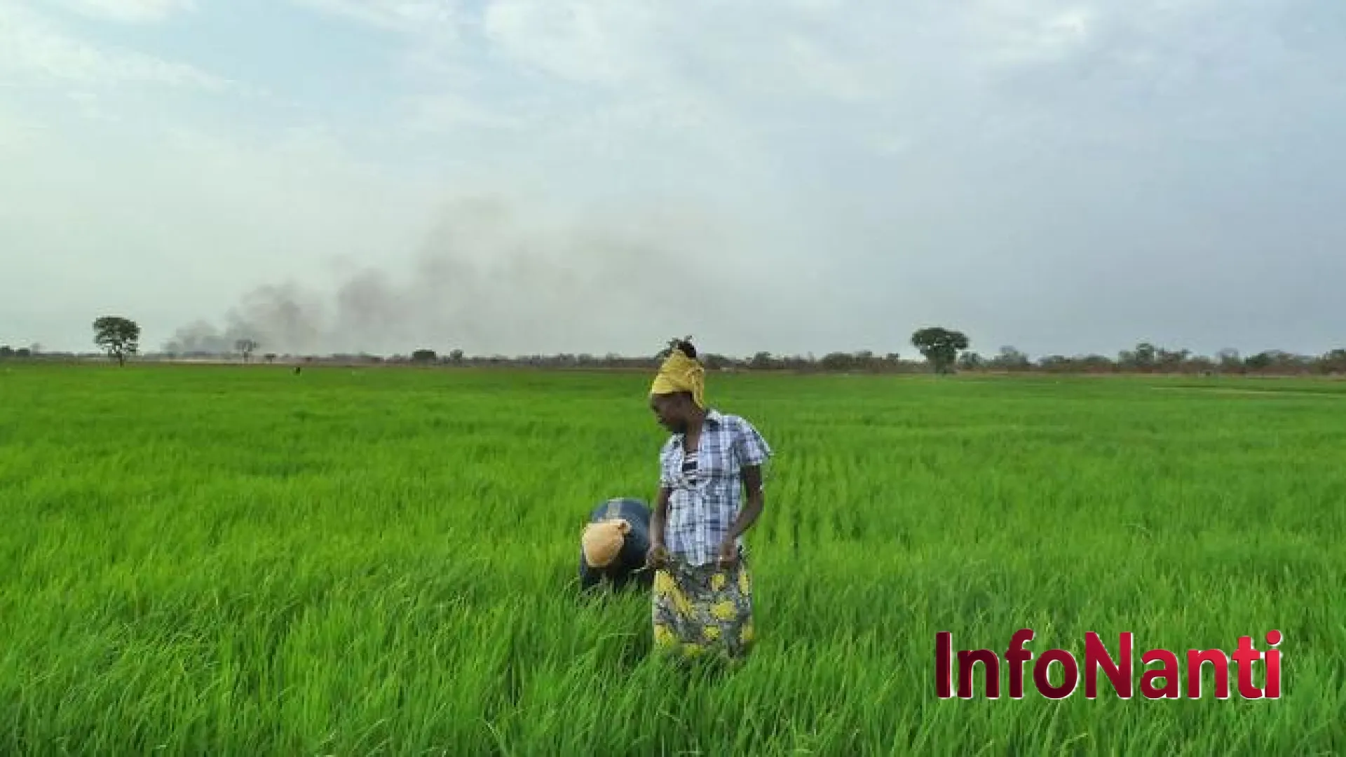 Gema Krisis di Selat Hormuz: Mengapa Piring Makan Rakyat Afrika Kini Terancam Kosong?