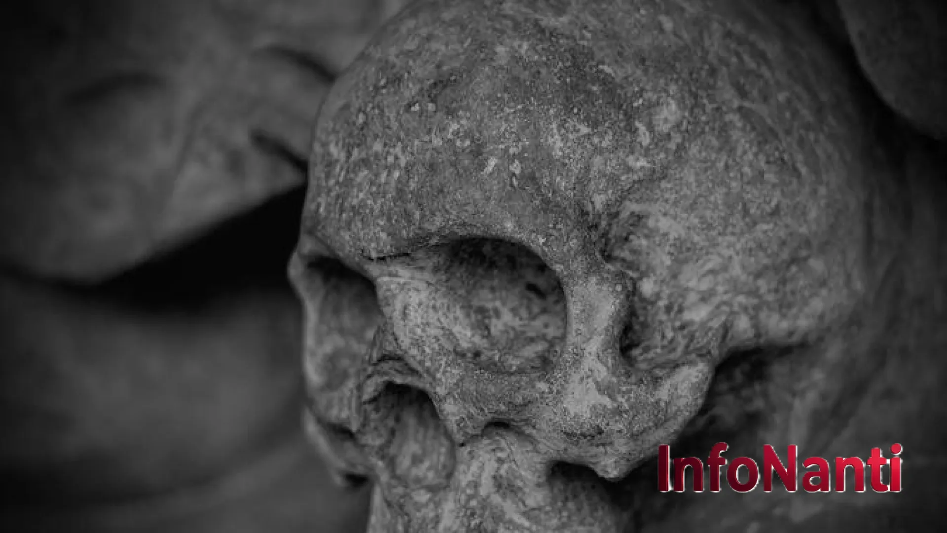 Misteri Tengkorak Santa Zdislava: Pencurian Relik 800 Tahun yang Berakhir di Balok Beton
