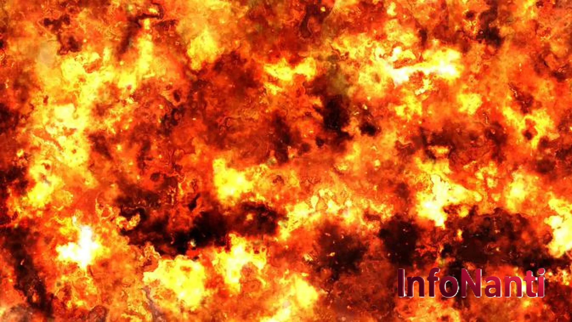 Tragedi Horor di Washington: Ledakan Dahsyat Tangki Kimia Nippon Dynawave Telan Korban Jiwa dan Luka Kritis