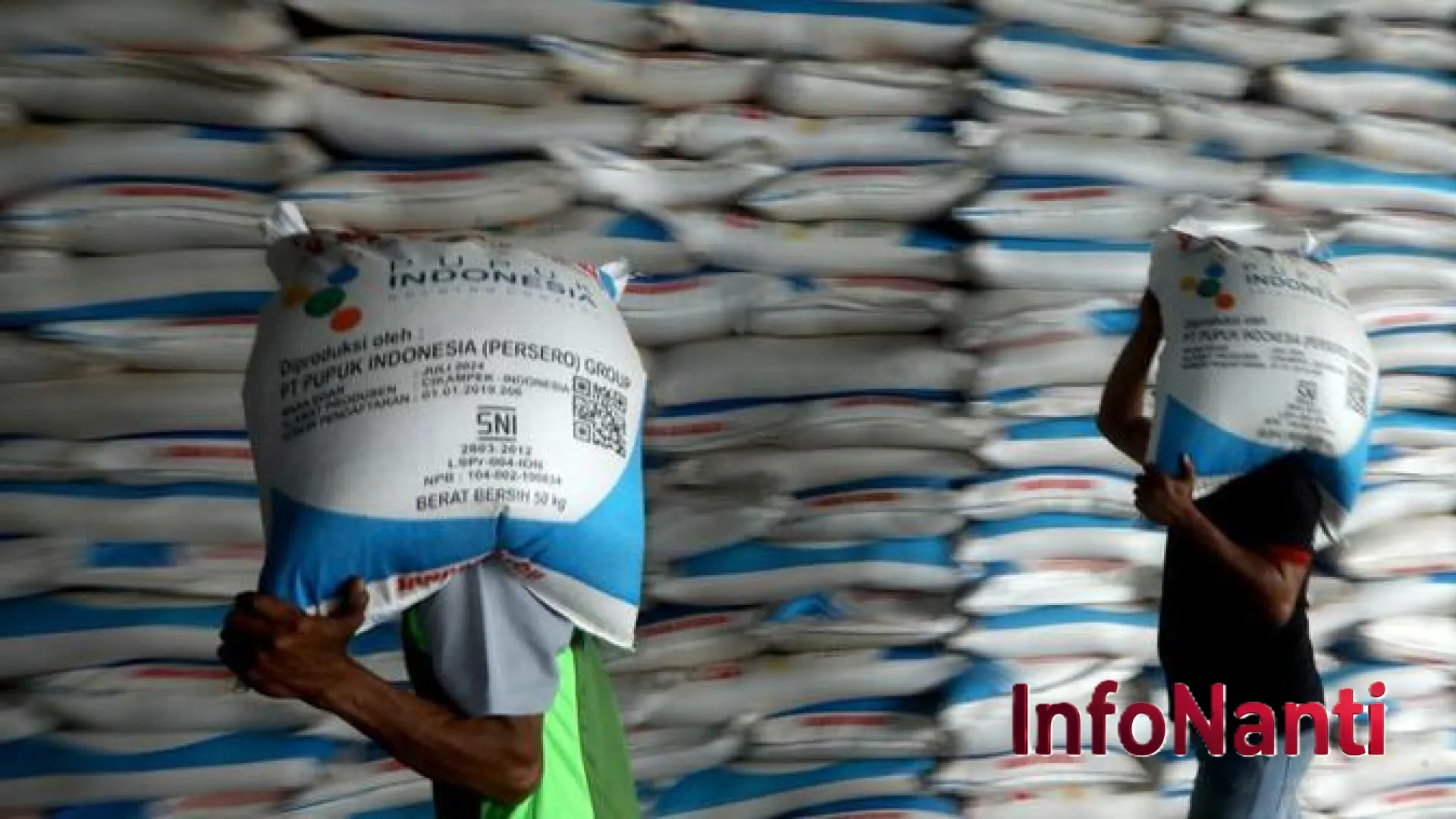 Transformasi Pupuk Indonesia: Rampingkan 42 Entitas Usaha Demi Efisiensi dan Ketahanan Pangan Nasional