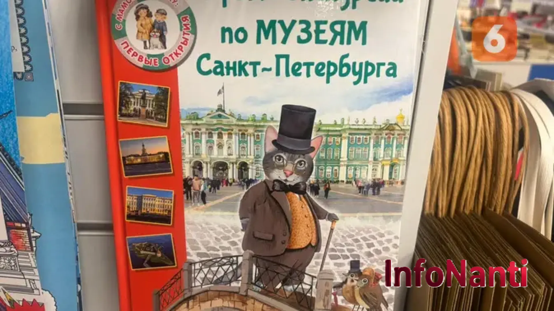 Menelusuri Jejak Anabul Penyelamat Kota: Mengapa Kucing Menjadi Napas dan Jiwa St. Petersburg?