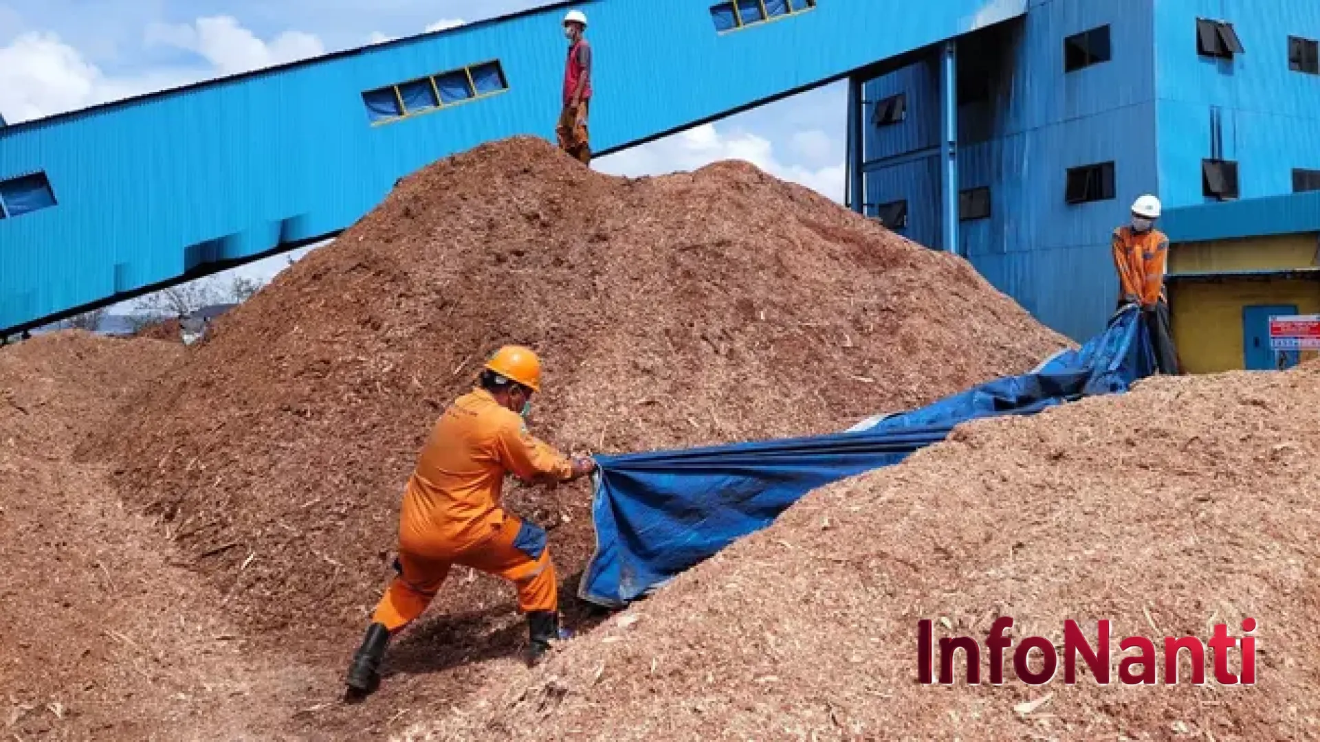 Revolusi Hijau PLN: Target Serapan 10 Juta Ton Biomassa di 2030 Demi Kedaulatan Energi Nasional