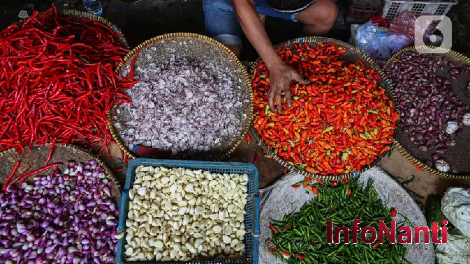 Update Harga Pangan Nasional 7 Juni 2026: Dinamika Pasar di Tengah Melimpahnya Stok Beras Nasional