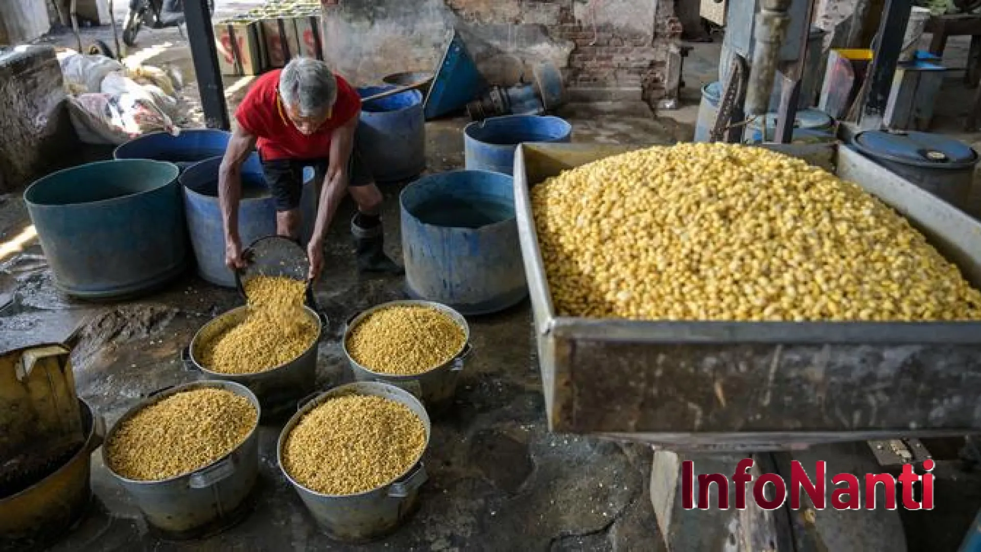 Ketergantungan Kedelai RI: Mengapa Amerika Serikat Masih Mendominasi Piring Tahu Tempe Kita?