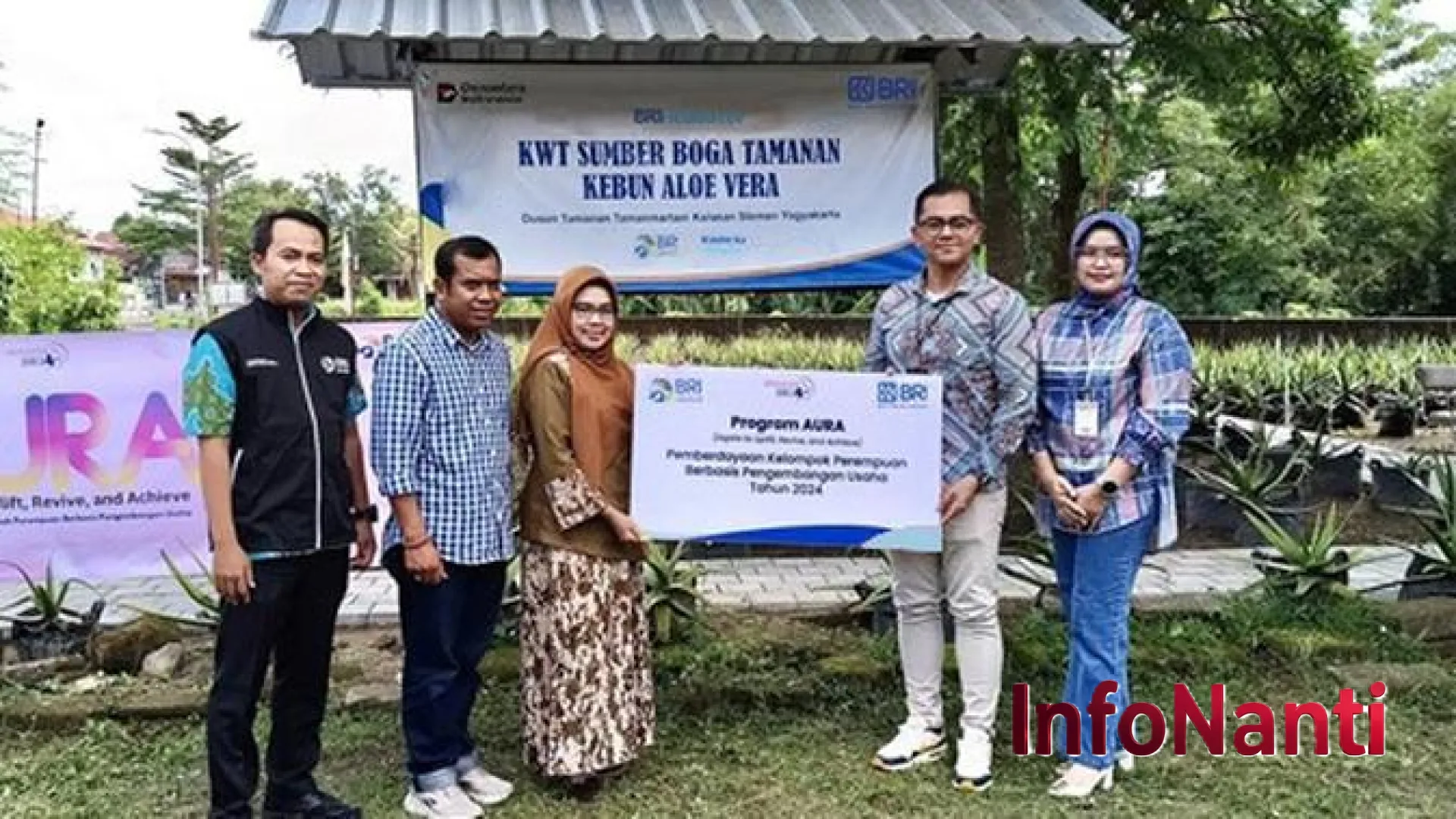 Kisah Inspiratif KWT Sumber Boga Tamanan: Perempuan Sleman Berdaya Lewat Budidaya Lidah Buaya dan Dukungan BRI