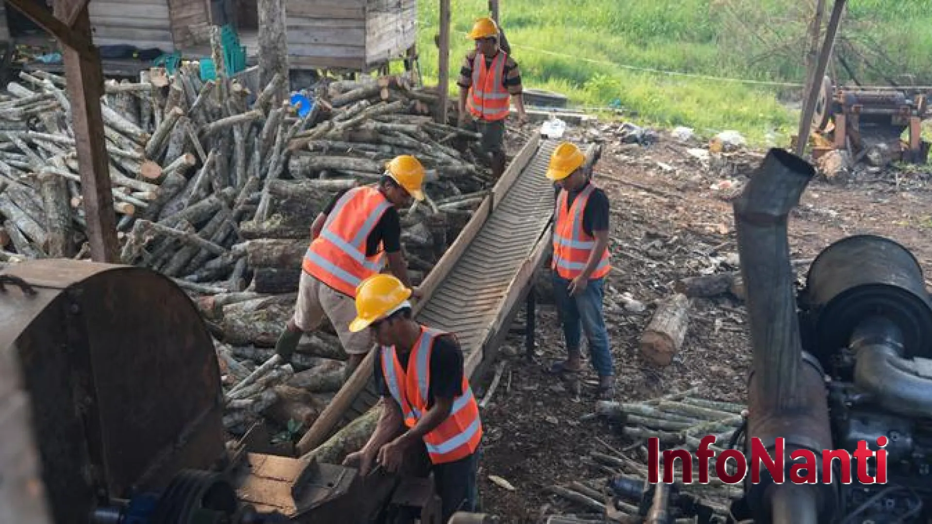 Potensi Melimpah 80 Juta Ton: Strategi Ambisius PLN EPI Mengubah Biomassa Menjadi Solusi Energi Nasional