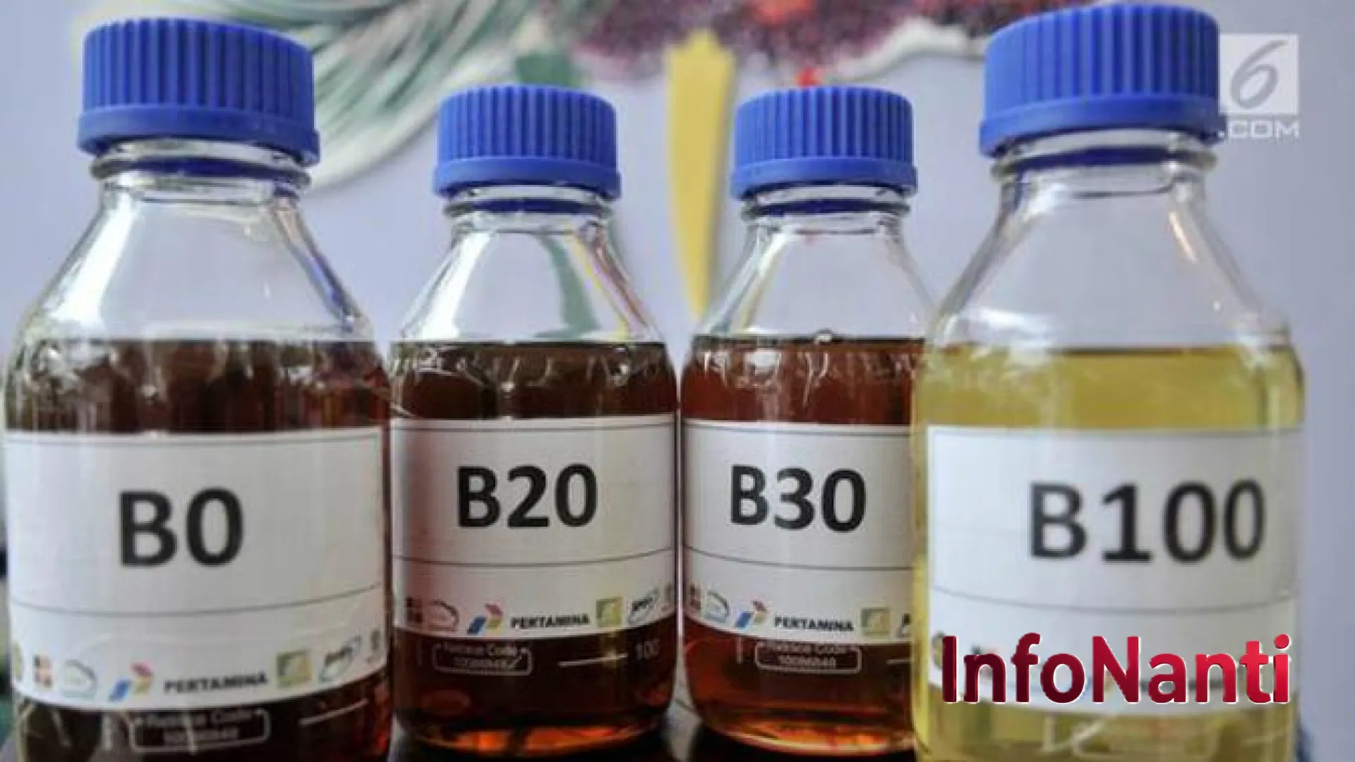Strategi Mandatori Biodiesel: Langkah Berani Indonesia Pangkas Impor Solar dan Hemat Devisa Negara